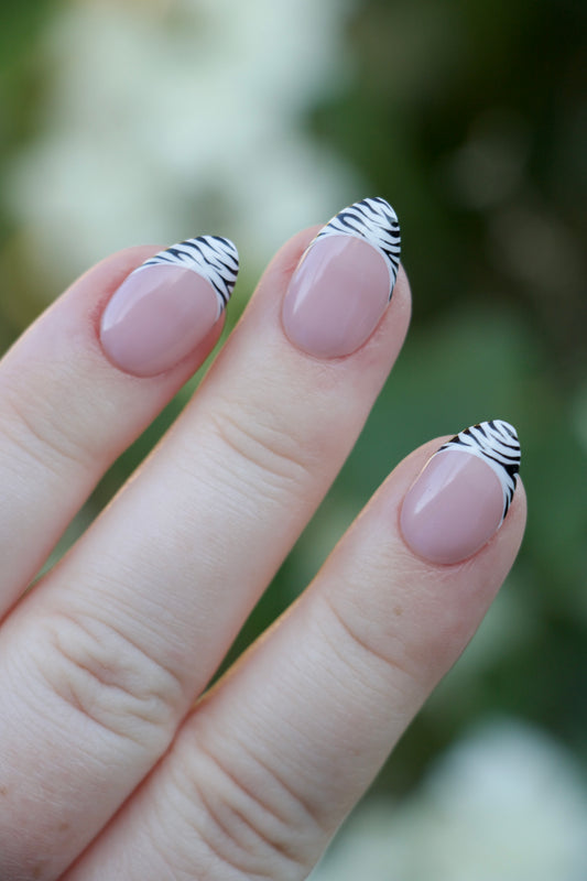 Zebra French