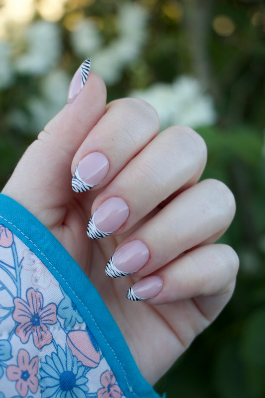 Zebra French